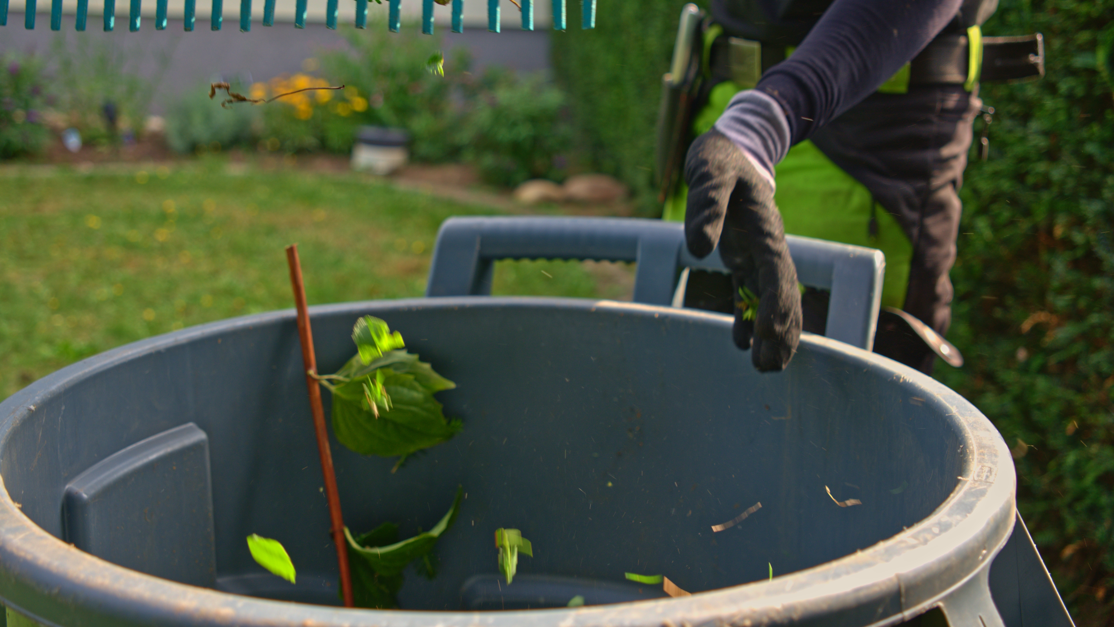 Grünschnitt Entsorgung Köln-Porz – GreenTeam entsorgt Schnittgut nach Gartenpflege